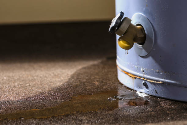 Best 24/7 water damage repair  in Au Sable, MI