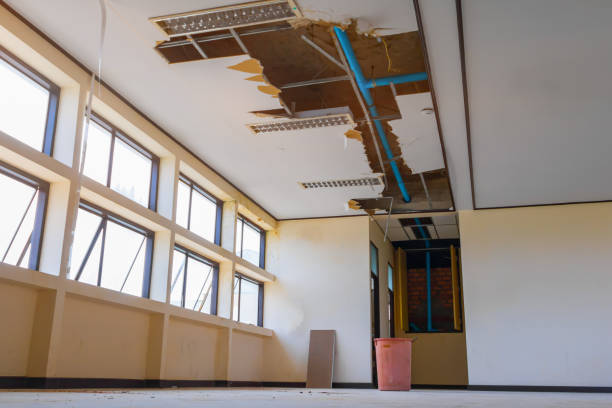 Reliable MI Water damage restoration Solutions