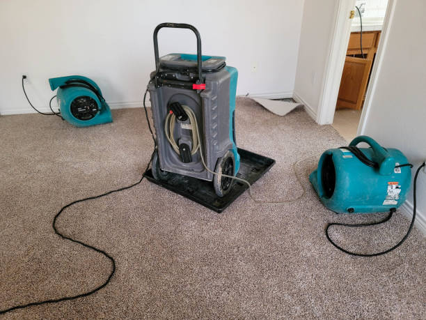 Best Fire Damage Restoration  in Au Sable, MI