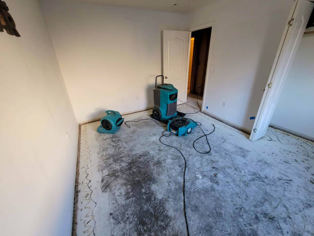 Best Fire Damage Restoration  in Au Sable, MI
