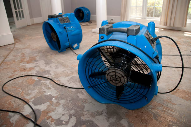 Best Water damage restoration services  in Au Sable, MI