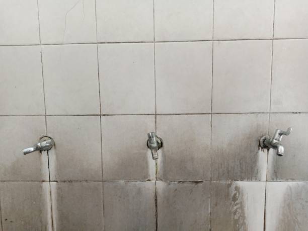 Best Water damage restoration near me  in Au Sable, MI