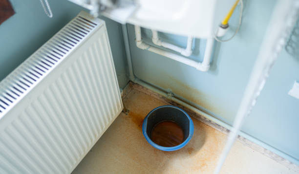Best Local water damage restoration  in Au Sable, MI