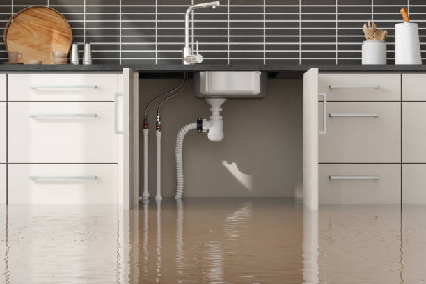 Best Ceiling water damage repair  in Au Sable, MI